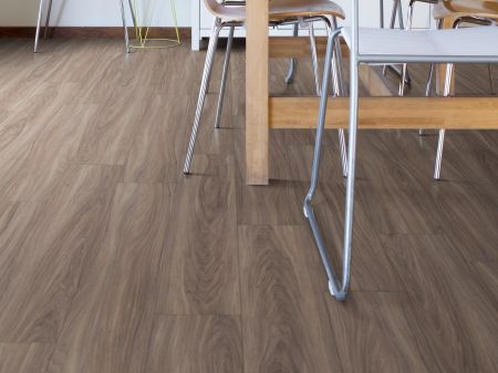 Shaw Floors Resilient Residential Paladin Plus Cinnamon Walnut