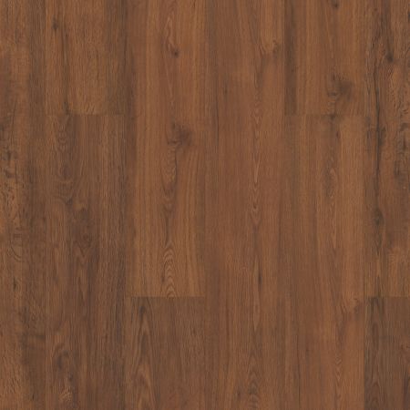 Shaw Floors SFA Georgetown Plus Plank Universal