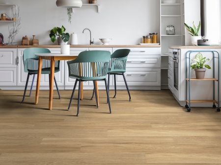 Shaw Floors Resilient Residential World's Fair 6mil Paris