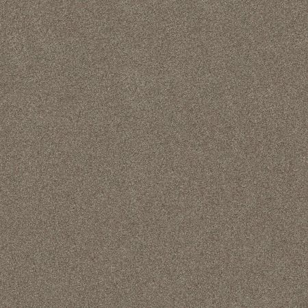 Shaw Floors Va110 Wt Moccasin