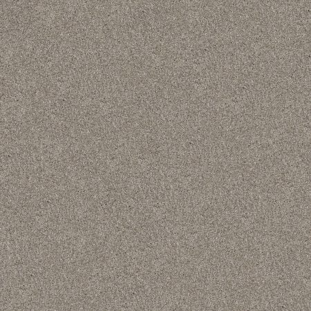 Shaw Floors Pet Perfect Va124 Sculpture