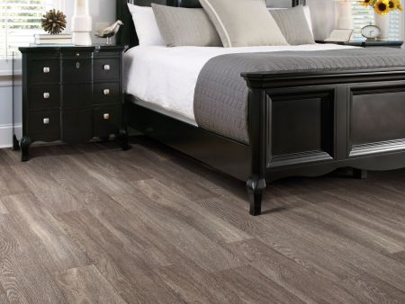 Shaw Floors Nfa HS Ellis Island12mil Dublin