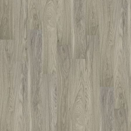 Shaw Floors Nfa HS Dover Plus Palace