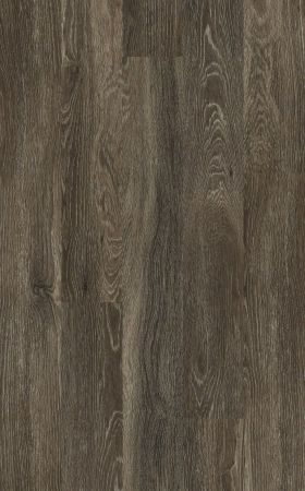 Shaw Floors Nfa HS Dover Plus Mila