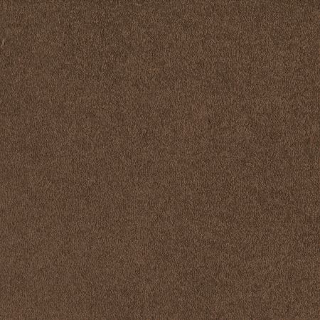 Shaw Floors Roll Special Xv131 (s) Dark Spice
