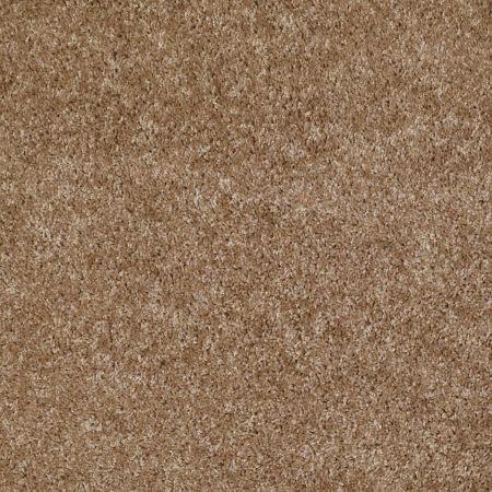 Shaw Floors Roll Special Xv463 Bungalow