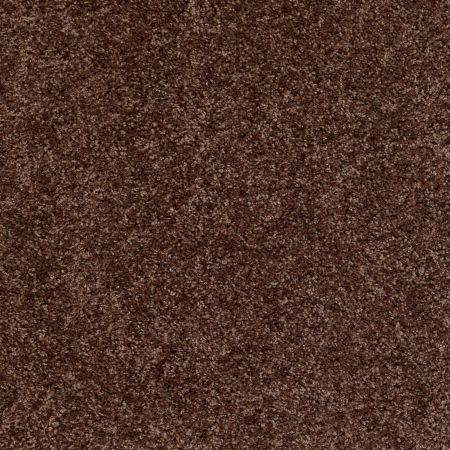 Shaw Floors Roll Special Xv463 Montana