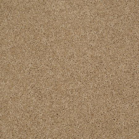 Shaw Floors Roll Special Xv789 Natural Wood