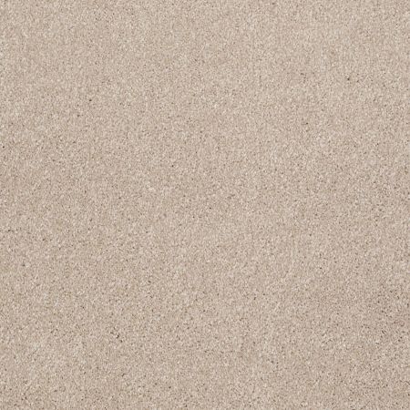 Shaw Floors Roll Special Xv813 French Canvas