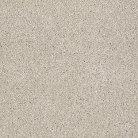 Shaw Floors Roll Special Xv813 Linen