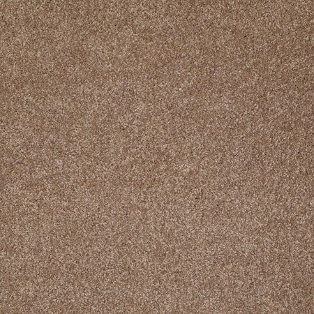 Shaw Floors Roll Special Xv813 Acorn