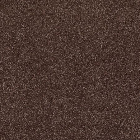 Shaw Floors Roll Special Xv813 Maple