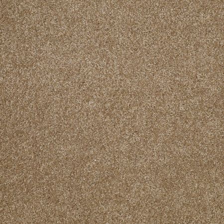 Shaw Floors Roll Special Xv815 Bridgewater Tan