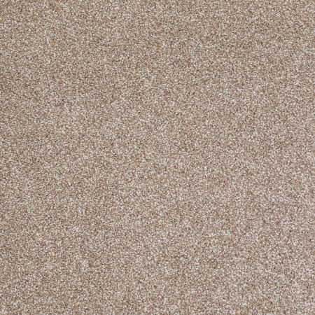 Shaw Floors Roll Special Xv816 Sombrero