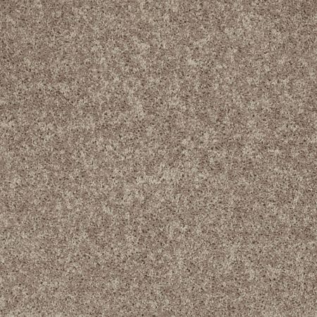 Shaw Floors Roll Special Xv866 River Slate