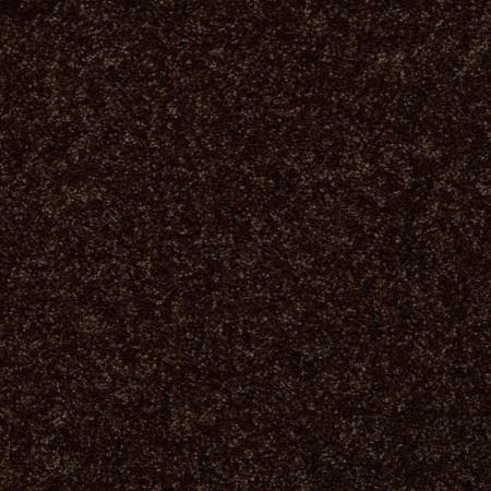 Shaw Floors Roll Special Xv868 Coffee Bean