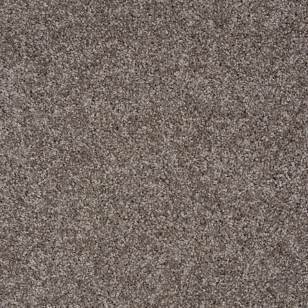 Shaw Floors Roll Special Xv893 Dockside