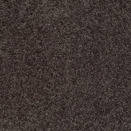 Shaw Floors Roll Special Xv893 Gauntlet