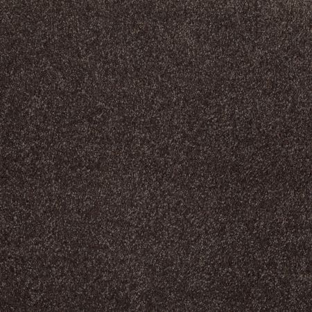 Shaw Floors Roll Special Xv930 Cabot Trail