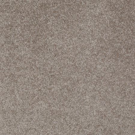 Shaw Floors Roll Special Xv930 Briar Patch