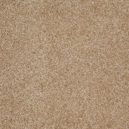 Shaw Floors Roll Special Xv974 Reed