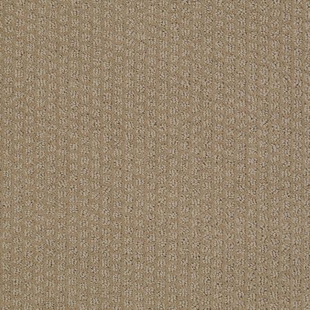 Shaw Floors Roll Special Xv988 Sable