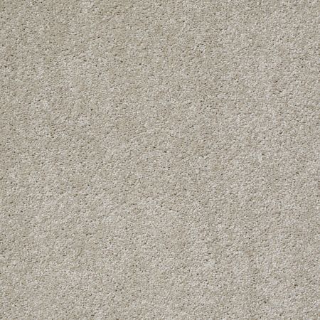 Shaw Floors Roll Special Xv998 All Natural