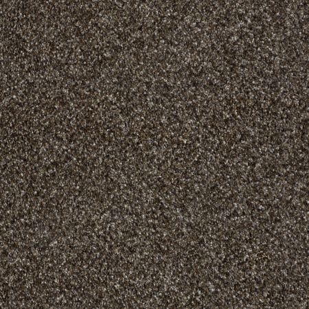 Shaw Floors Roll Special Xy138 Mystic River