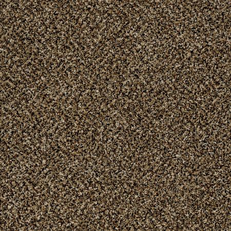 Shaw Floors Roll Special Xy139 Sandpiper