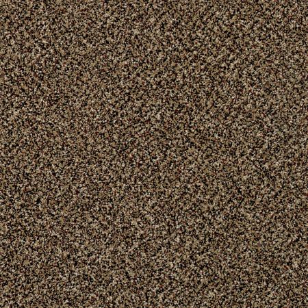 Shaw Floors Roll Special Xy139 Raw Sienna
