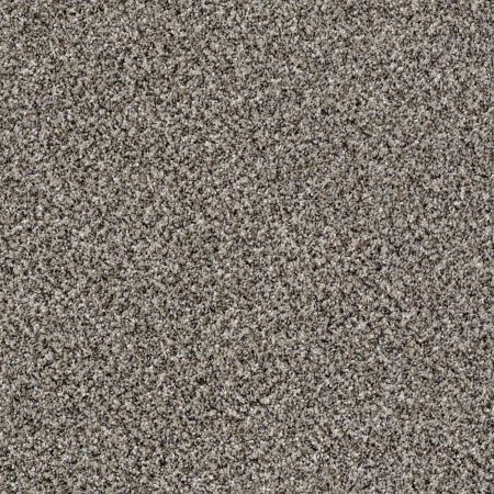 Shaw Floors Roll Special Xy141 Alaskan Air