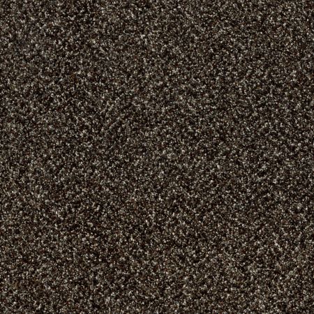 Shaw Floors Roll Special Xy141 River Rock