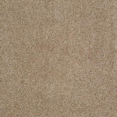 Shaw Floors Roll Special Xy157 Mushroom