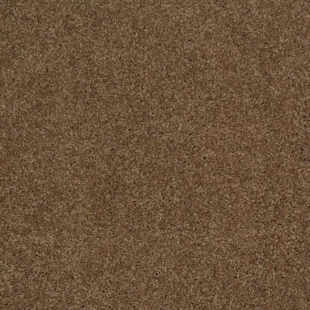 Shaw Floors Roll Special Xy157 Travertine