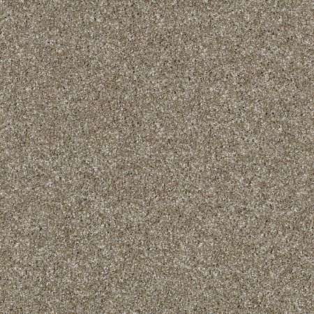Shaw Floors Roll Special Xy160 Cameo