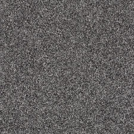 Shaw Floors Roll Special Xy160 Shadow
