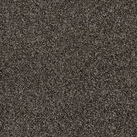 Shaw Floors Roll Special Xy162 Boulder