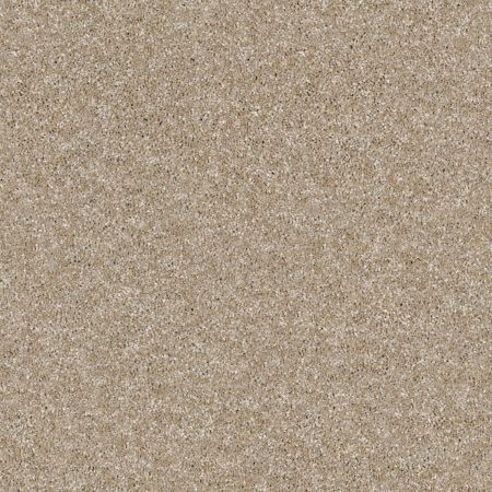 Shaw Floors Roll Special Xy166 Sand Castle