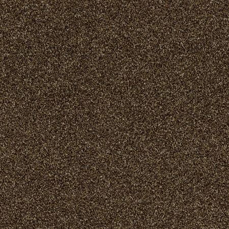 Shaw Floors Roll Special Xy166 Sedona