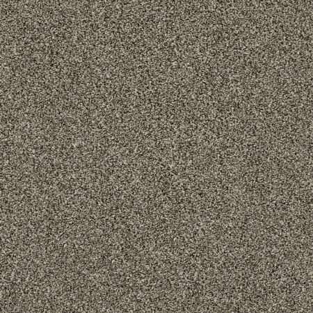 Shaw Floors Roll Special Xy168 Dynamic