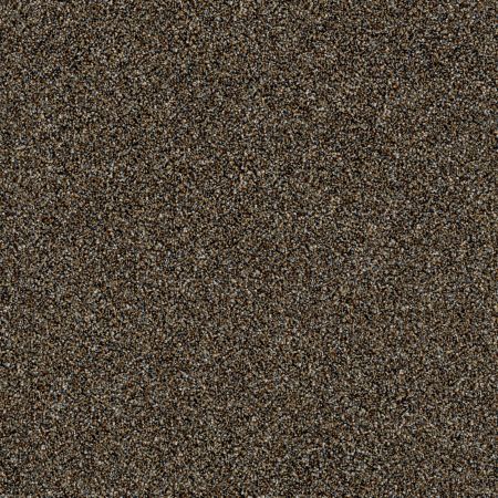 Shaw Floors Roll Special Xy168 River Walk