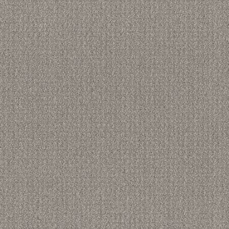 Shaw Floors Roll Special Xy337 Steel Beam