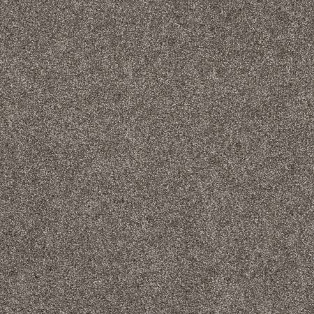 Shaw Floors Roll Special Xy351 Ashes