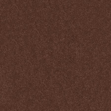 Shaw Floors Roll Special Xy356 Orange Oxide