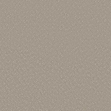 Shaw Floors Roll Special Xy363 Sculpture