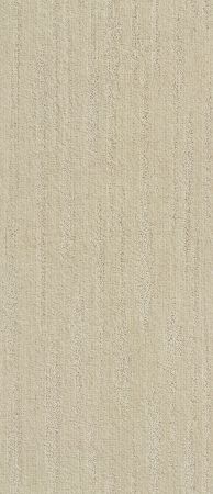 Shaw Floors Value Collections Xz013 Net Almond