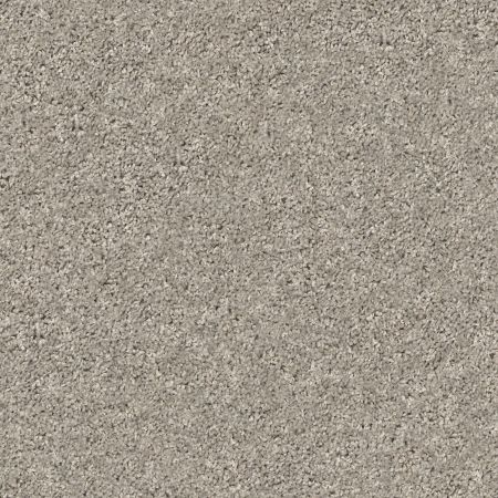 Shaw Floors Value Collections Xz020 Net Cement