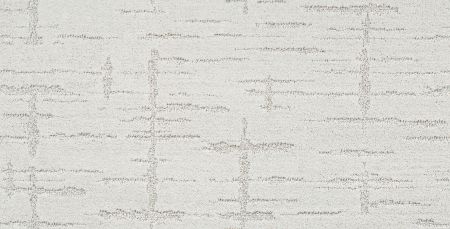 Shaw Floors Roll Special Xz049 Atmospheric