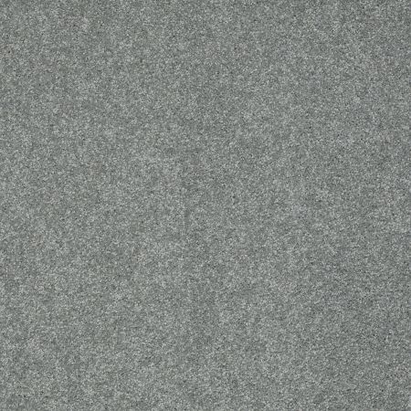 Shaw Floors Roll Special Xz071 Reflection