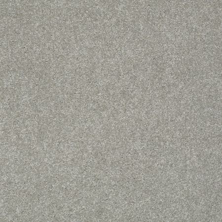 Shaw Floors Roll Special Xz071 Flint
